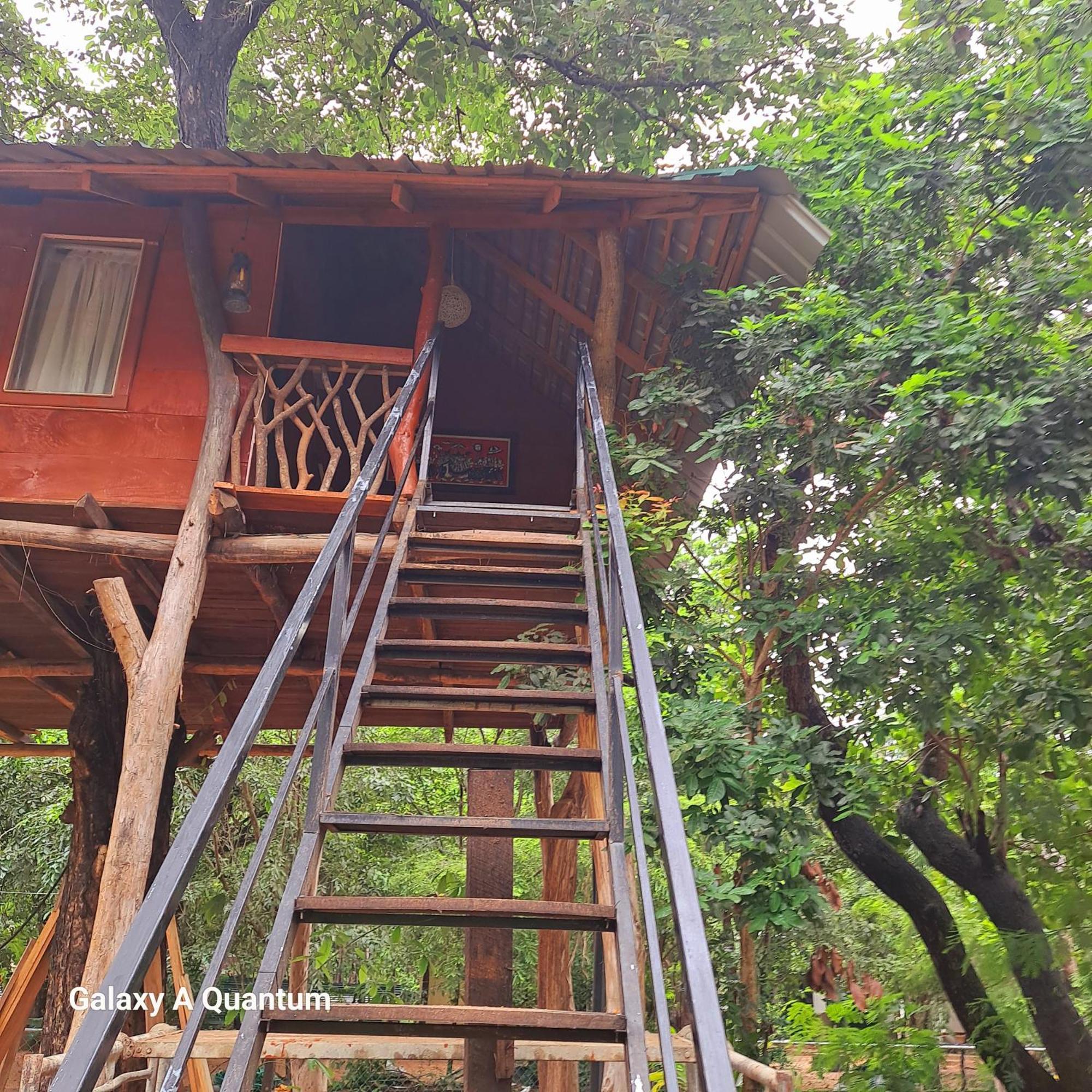 Green Leaf Tree House Dambulla Buitenkant foto