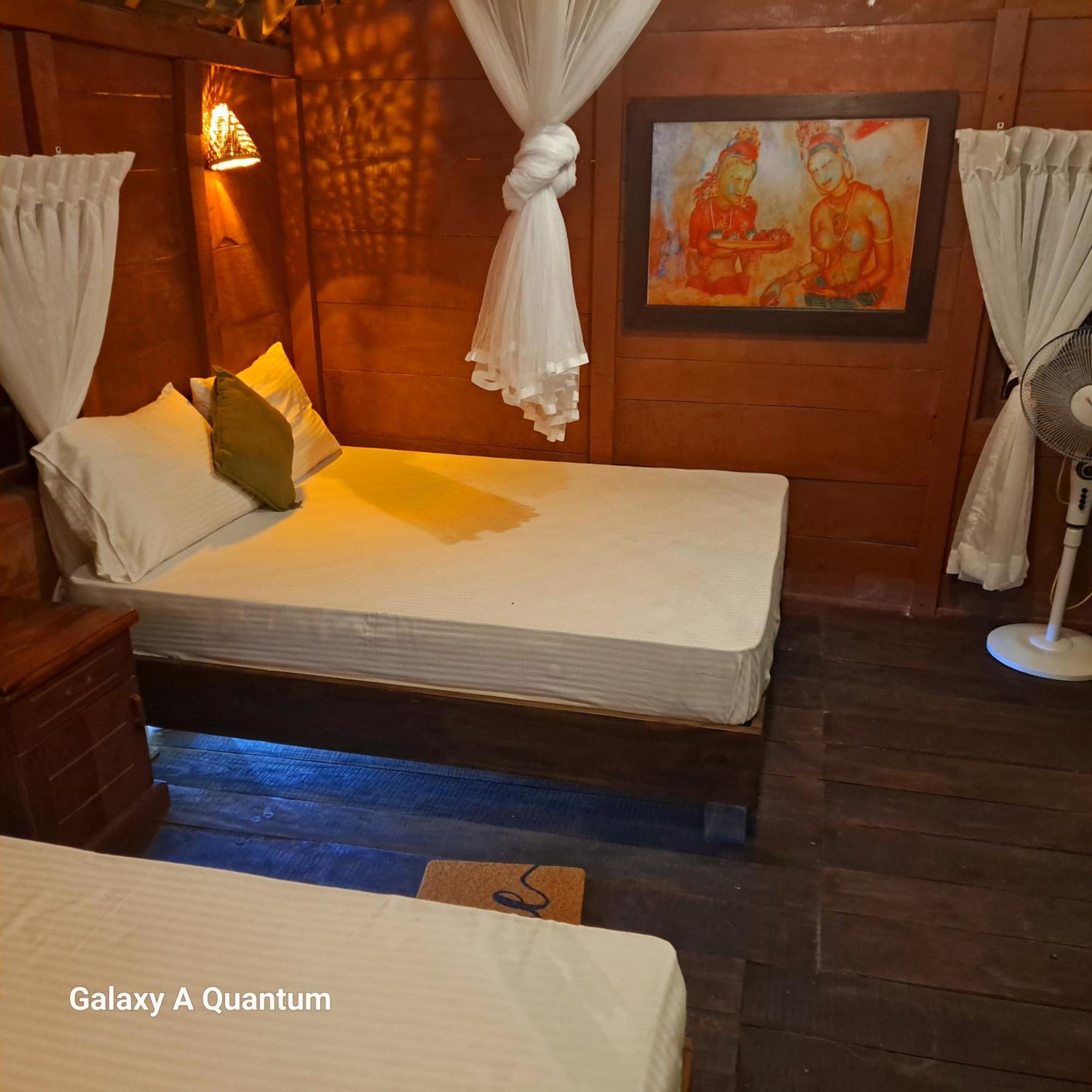 Green Leaf Tree House Dambulla Buitenkant foto