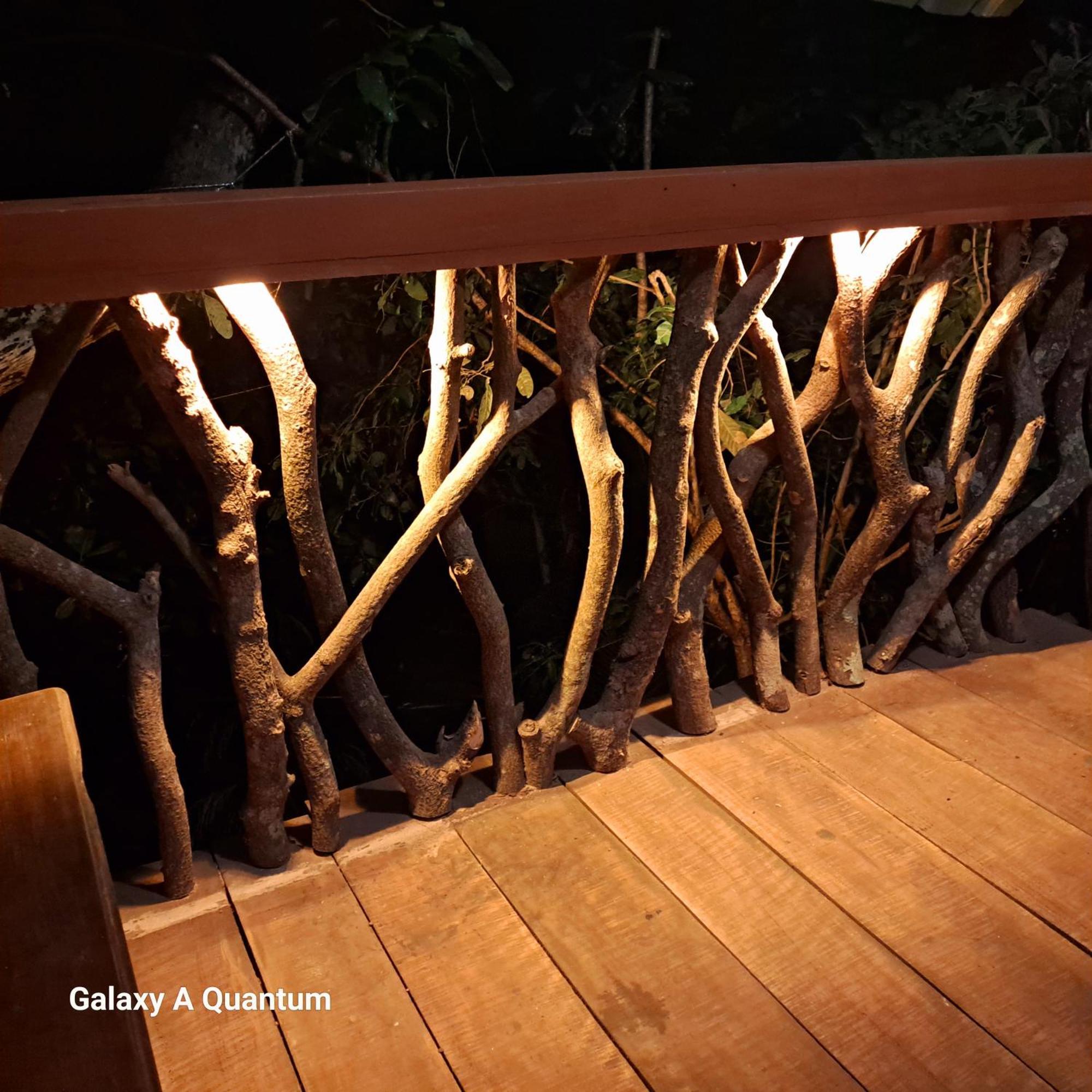 Green Leaf Tree House Dambulla Buitenkant foto