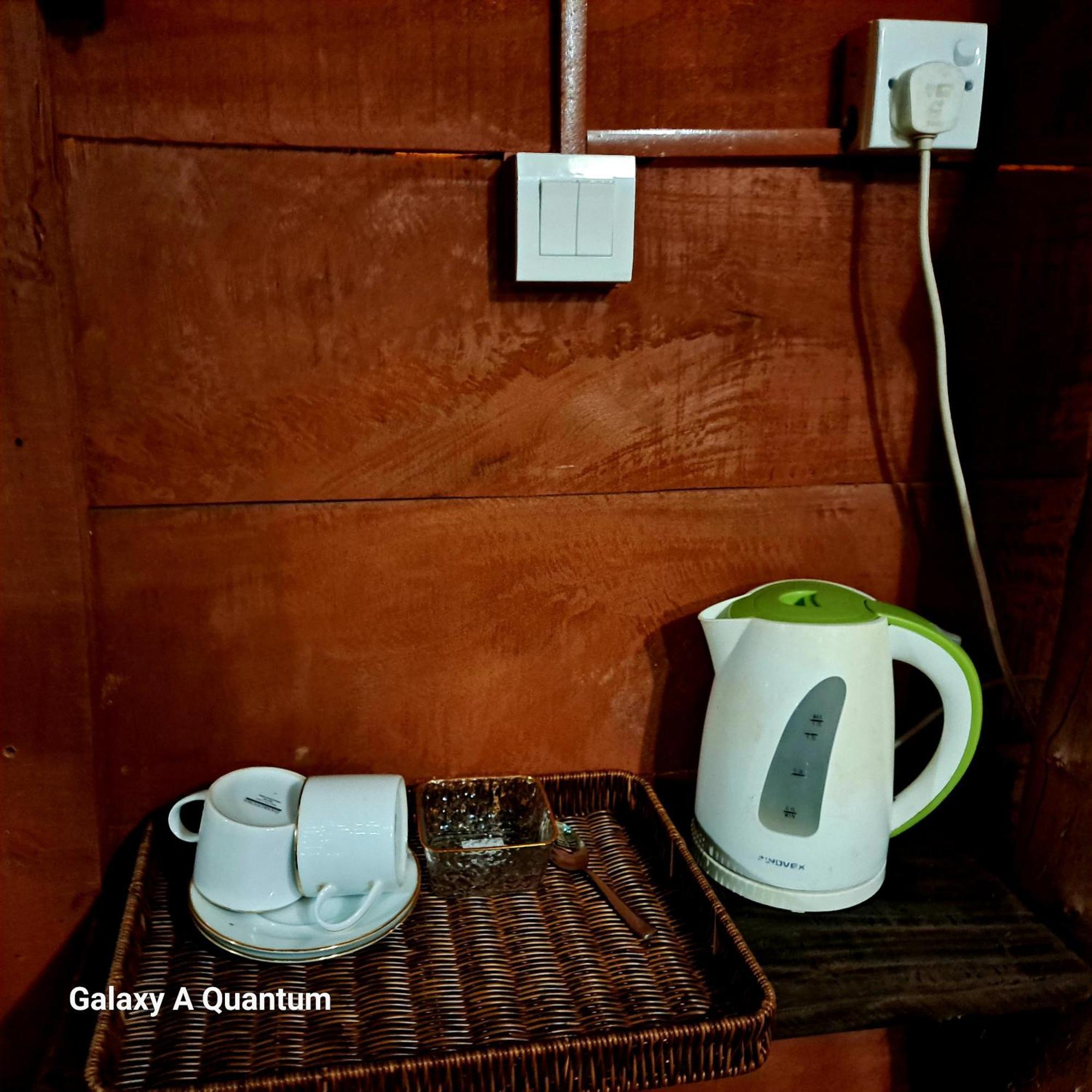 Green Leaf Tree House Dambulla Buitenkant foto