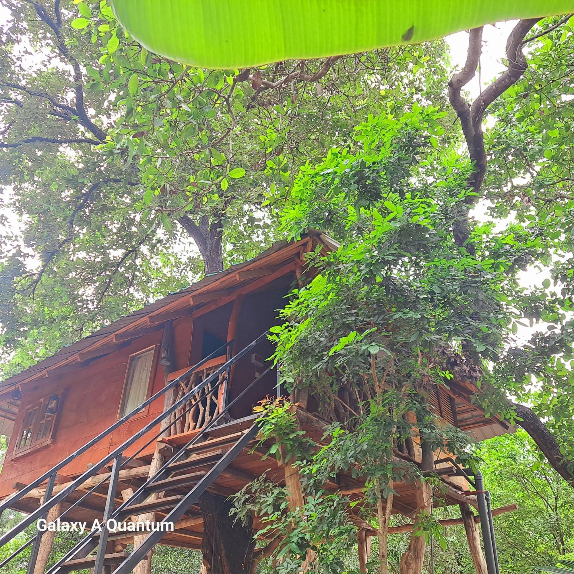 Green Leaf Tree House Dambulla Buitenkant foto