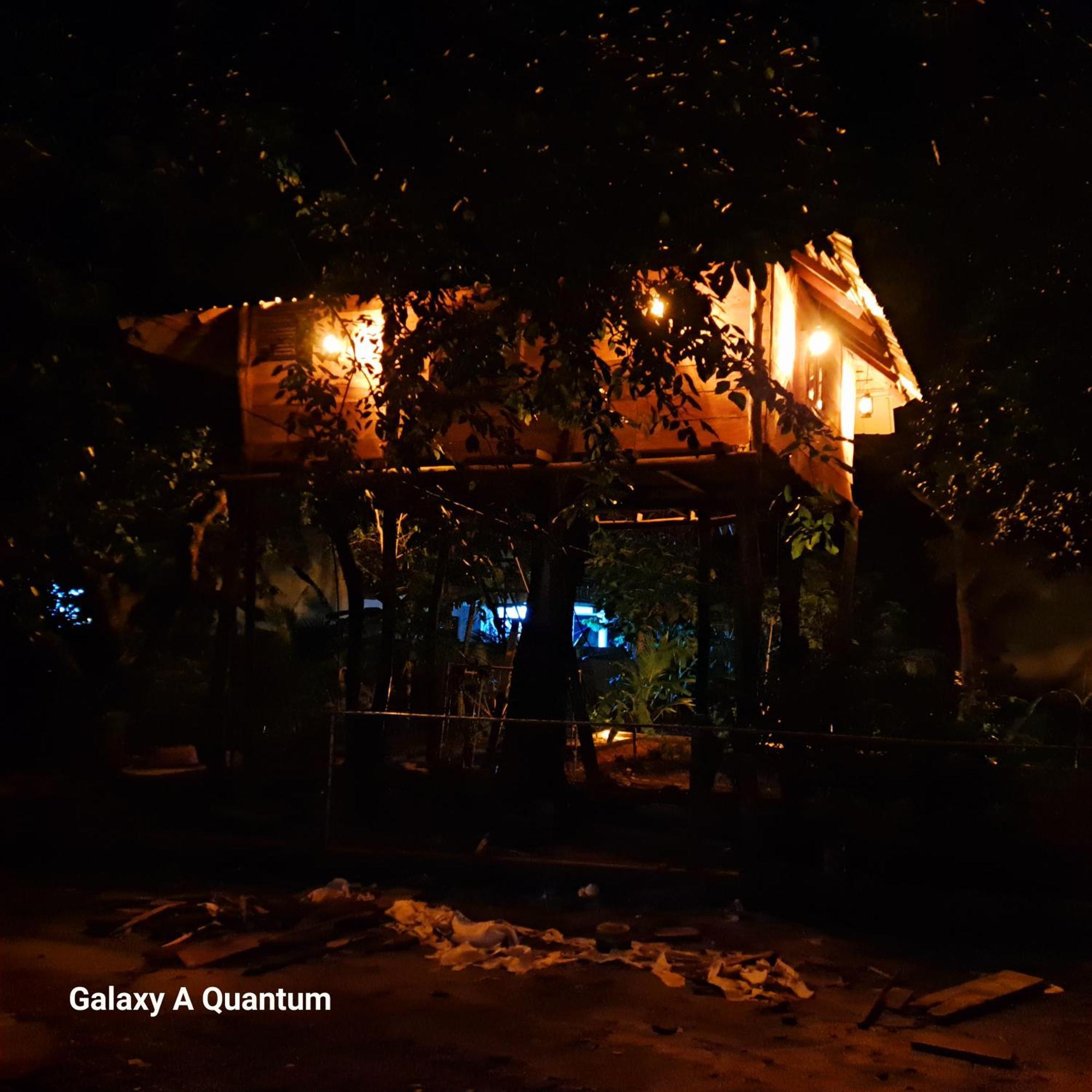 Green Leaf Tree House Dambulla Buitenkant foto